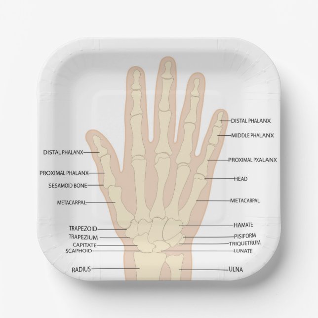  Human hand anatomy  Paper Plates (Front)