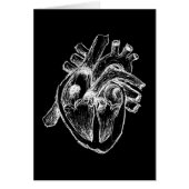Human Heart (Front)