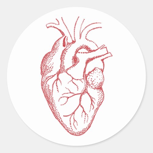 Human heart anatomy drawing classic round sticker