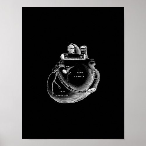 Human Heart Anatomy in Black and White Print