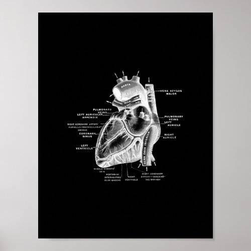 Human Heart Anatomy in Black and White Print