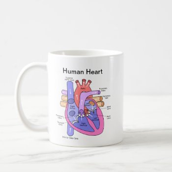 Human Heart Coffee Mug by jetglo at Zazzle