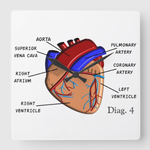 Human Heart Diagram Clock