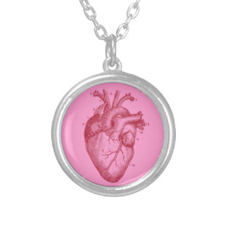 Human heart - love - anatomy silver plated necklace
