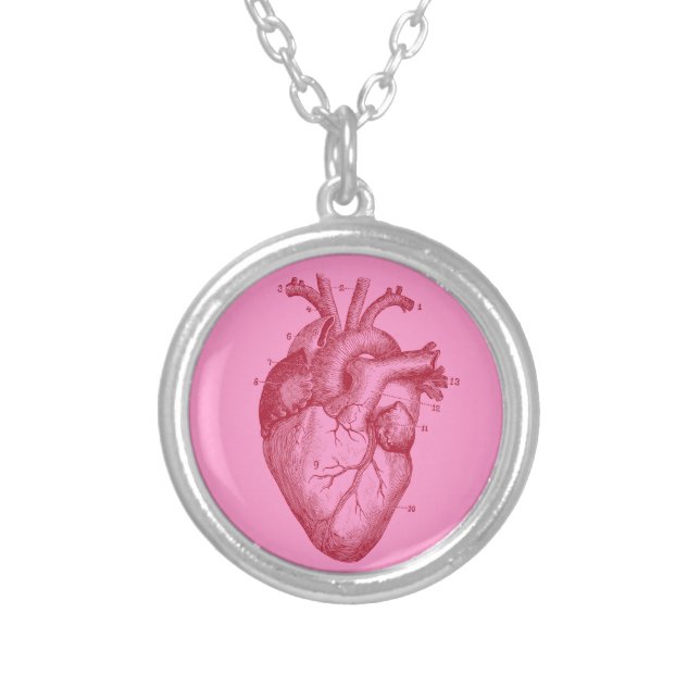 Human heart - love - anatomy silver plated necklace (Front)