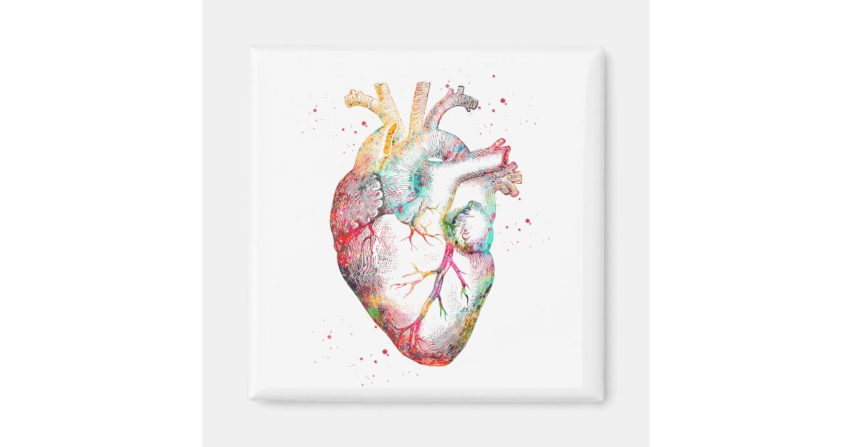 Human Heart Magnet | Zazzle