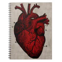 Human Heart Notebook