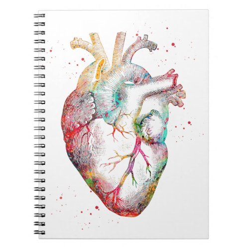 Human Heart Notebook