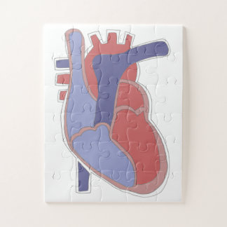 Human Heart Puzzle