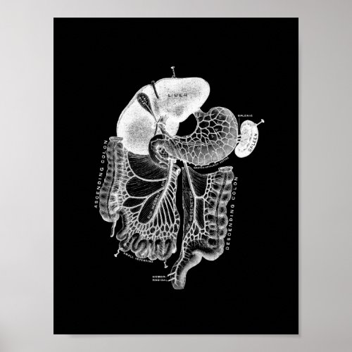Human Internal Anatomy in Black and White Print