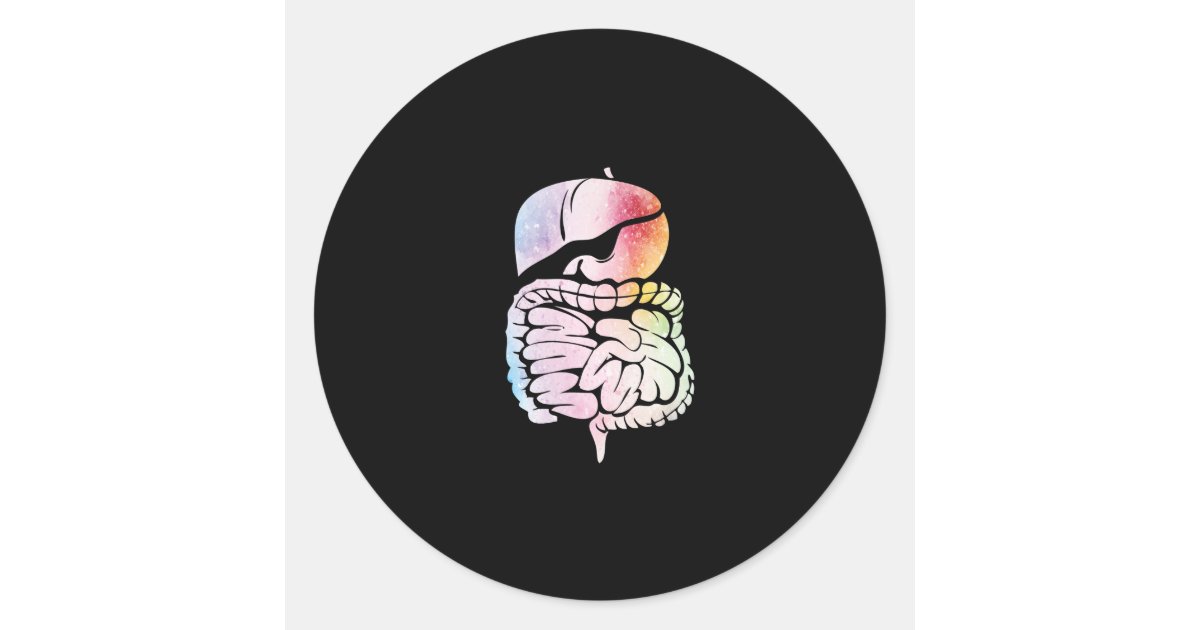 Internal Innformation Sticker Human Internal Organs Anatomy Art Digestive System Classic Round ...