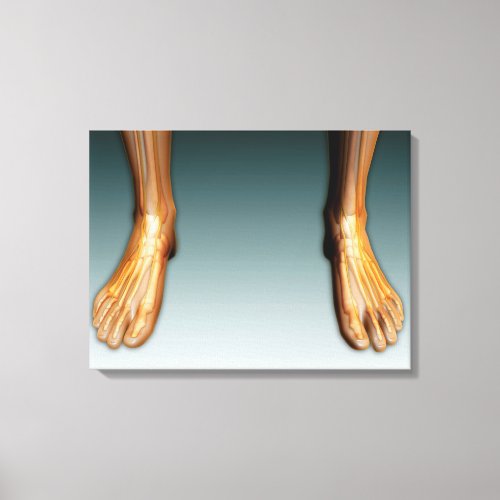 Human Legs And Feet With Nervous System Canvas Print