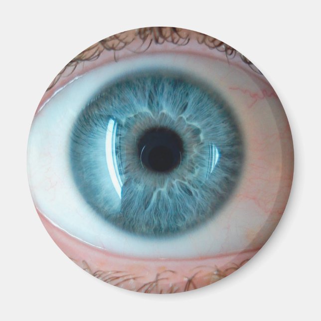 Human Magnet (Front)