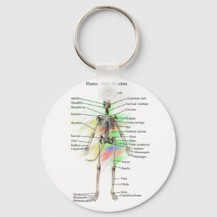 Human Male Skeleton key chain