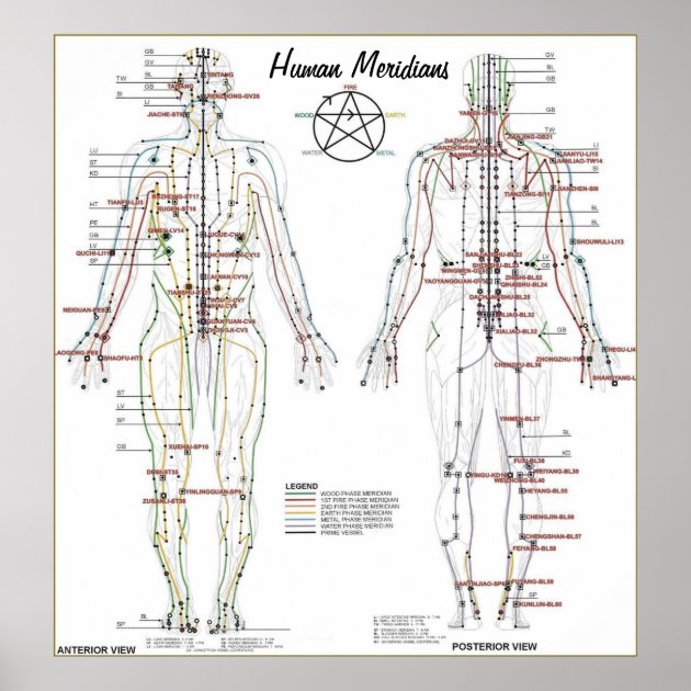 Meridian Pressure Points Chart
