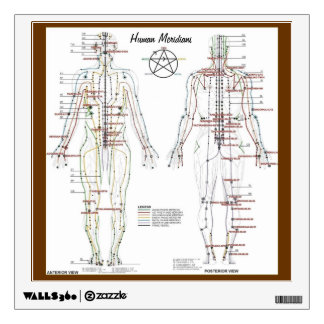 Human Meridians & Pressure Point Chart Wall Decal