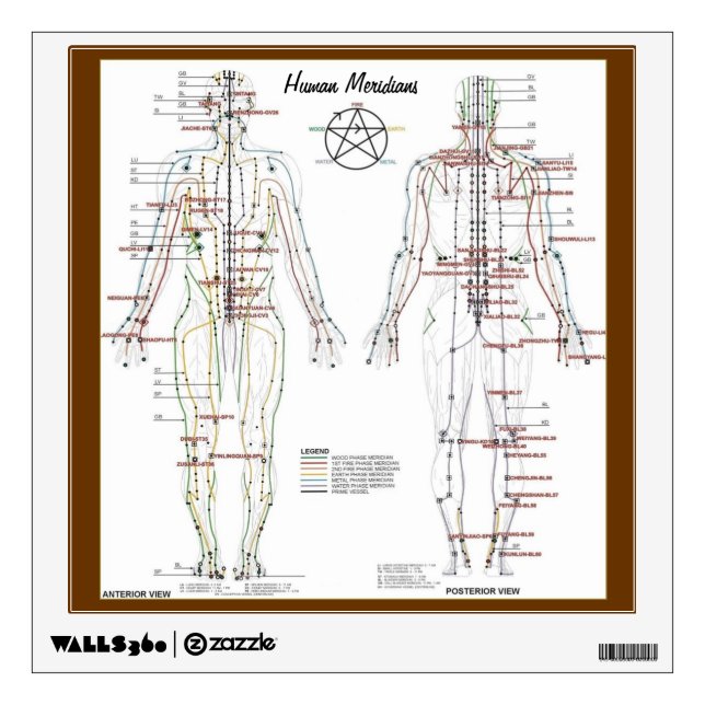 Human Meridians & Pressure Point Chart Wall Decal (Front)