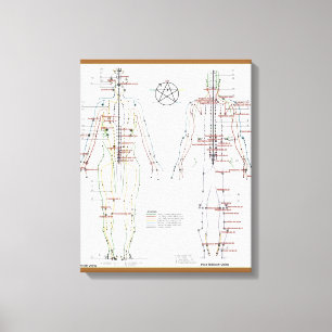 Human Meridians & Pressure Pt Chart wrapped Canvas Print