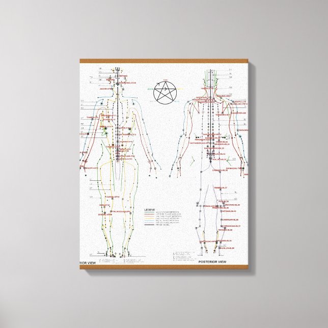 Human Meridians & Pressure Pt Chart wrapped Canvas Print (Front)