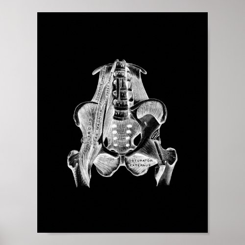Human Muscle Anatomy in Black and White Print