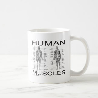 Human Muscles and Anatomy Coffee Mug