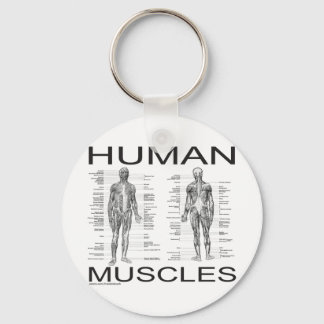 Human Muscles and Anatomy Keychain