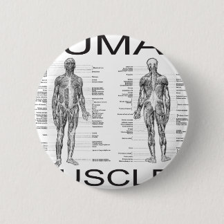 Human Muscles and Anatomy Pinback Button