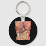 Human Muscles Organs Scary Anatomy Teacher Hallowe Keychain
