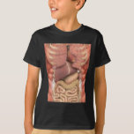 Human Muscles Organs Scary Anatomy Teacher Hallowe T-Shirt