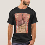 Human Muscles Organs Scary Anatomy Teacher Hallowe T-Shirt