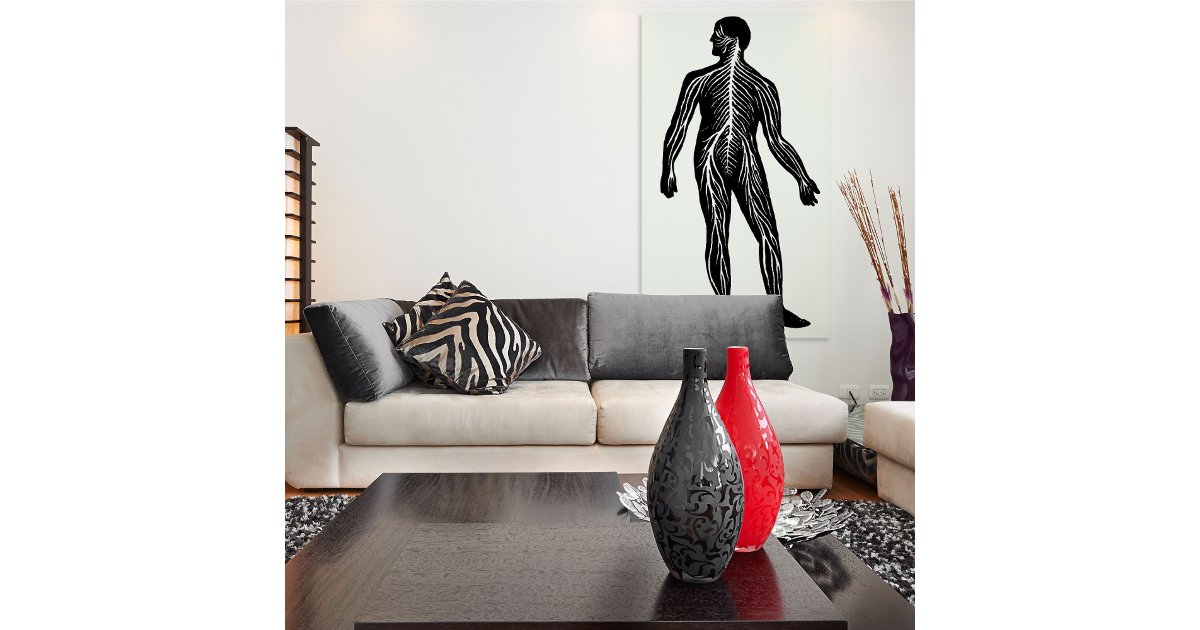 Human Nervous System Anatomy Illustration Poster | Zazzle