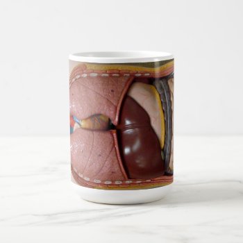 Human Organs  The Thorax Coffee Mug by CoffeeRules at Zazzle