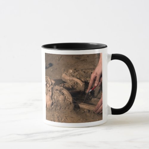 Human remains mug