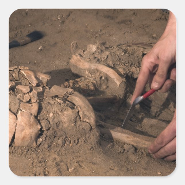 Human remains square sticker (Front)