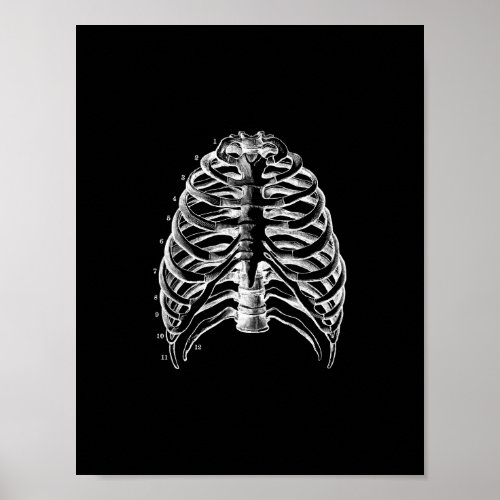 Human Ribcage Anatomy in Black and White Print