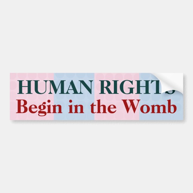 Human Rights Begin in the Womb Bumper Sticker (Front)