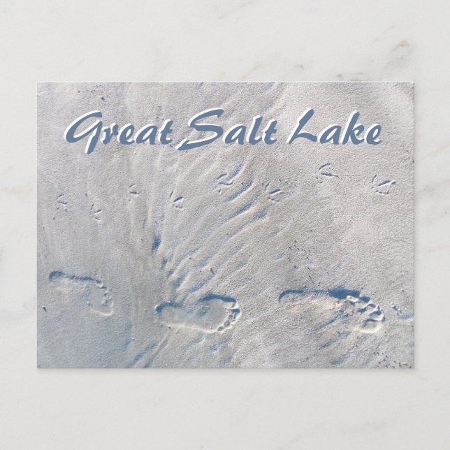 Human, Seagull Footprints in Sand Great Salt Lakea Postcard (Front)