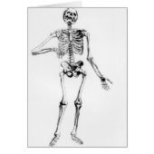 Human Skeleton (Front)