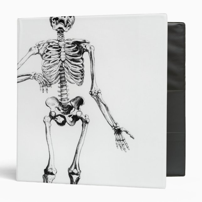 Human Skeleton 3 Ring Binder (Front/Inside)