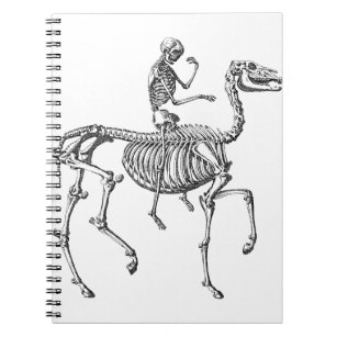 Human skeleton and skeleton horse notebook