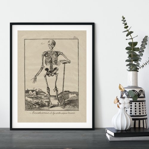 Human Skeleton Antique Anatomy Poster