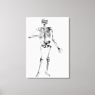 Human Skeleton Canvas Print