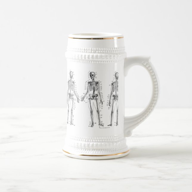 Human Skeleton Diagram Beer Stein (Right)
