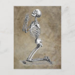 Human Skeleton Kneeling in Prayer Postcard
