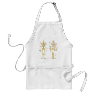 Human Skeleton labeled anatomy chart Adult Apron