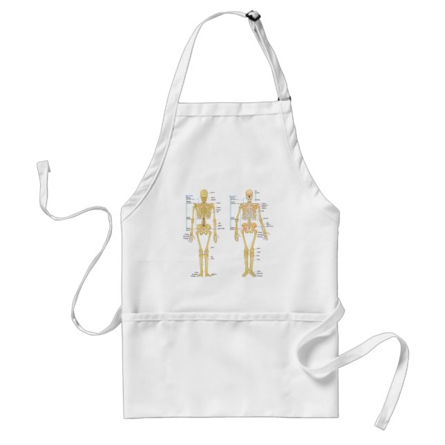 Human Skeleton labeled anatomy chart Adult Apron (Front)
