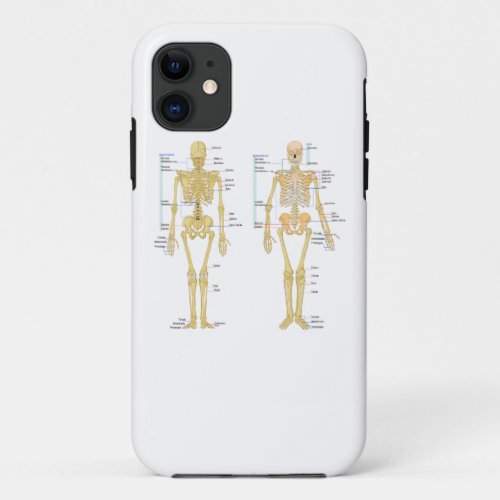 Human Skeleton labeled anatomy chart iPhone 11 Case