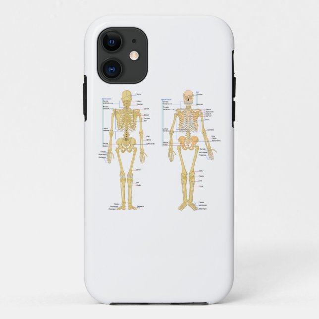 Human Skeleton labeled anatomy chart Case-Mate iPhone Case (Back)