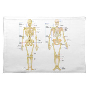 Human Skeleton labeled anatomy chart Cloth Placemat
