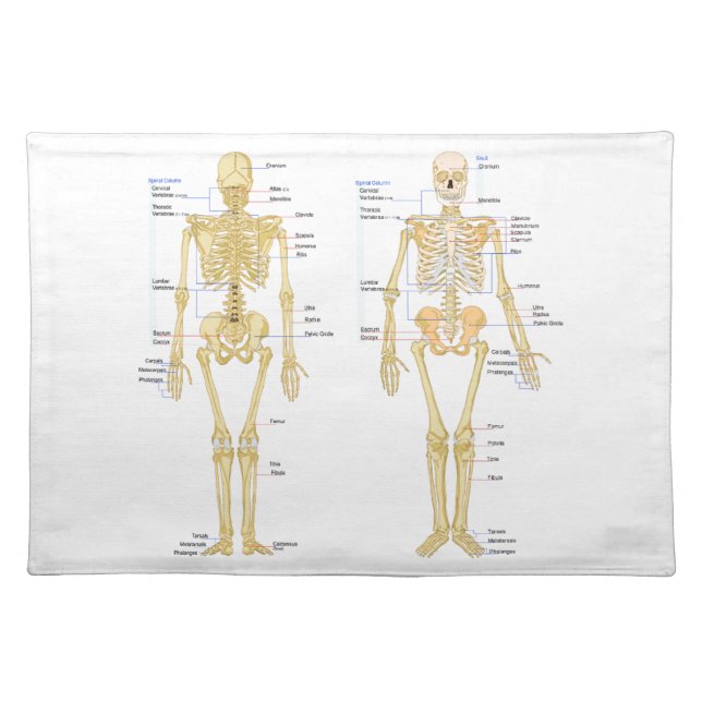 Human Skeleton labeled anatomy chart Cloth Placemat (Front)